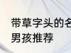 带草字头的名字男孩 带草字头的名字男孩推荐