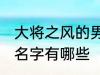 大将之风的男孩名字 大将之风的男孩名字有哪些