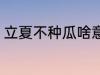 立夏不种瓜啥意思 立夏不种瓜的含义