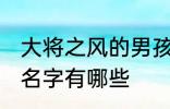 大将之风的男孩名字 大将之风的男孩名字有哪些