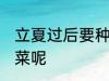 立夏过后要种什么菜 立夏过后种什么菜呢