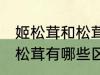 姬松茸和松茸的区别是什么 姬松茸和松茸有哪些区别