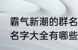 霸气新潮的群名字大全 霸气新潮的群名字大全有哪些