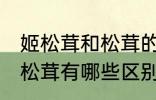 姬松茸和松茸的区别是什么 姬松茸和松茸有哪些区别