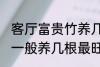 客厅富贵竹养几支最旺运 水养富贵竹一般养几根最旺财