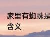 家里有蜘蛛是什么兆头 家里有蜘蛛的含义