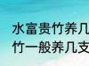 水富贵竹养几支最旺事业运 水养富贵竹一般养几支