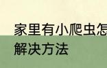 家里有小爬虫怎么办 家里有小爬虫的解决方法