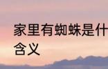 家里有蜘蛛是什么兆头 家里有蜘蛛的含义