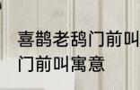 喜鹊老鸹门前叫有什么兆头 喜鹊老鸹门前叫寓意