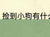 捡到小狗有什么兆头 捡到小狗的兆头