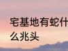 宅基地有蛇什么兆头 宅基地有蛇是什么兆头