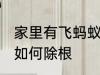 家里有飞蚂蚁怎么除根 家里有飞蚂蚁如何除根