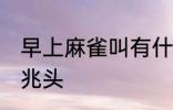 早上麻雀叫有什么兆头 早上麻雀叫的兆头
