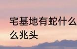 宅基地有蛇什么兆头 宅基地有蛇是什么兆头