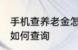 手机查养老金怎么查询 手机查养老金如何查询