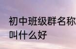 初中班级群名称大全 初中班级群名称叫什么好