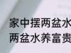 家中摆两盆水养富贵竹好不好 家中摆两盆水养富贵竹可以吗