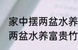 家中摆两盆水养富贵竹好不好 家中摆两盆水养富贵竹可以吗