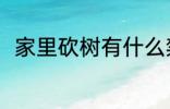 家里砍树有什么禁忌 家里砍树禁忌