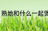 熟地和什么一起煲汤好 熟地煲汤做法