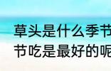 草头是什么季节吃最好 草头是什么季节吃是最好的呢