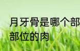 月牙骨是哪个部位的肉 月牙骨是什么部位的肉