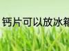 钙片可以放冰箱吗 钙片能不能放冰箱