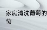 家庭清洗葡萄的方法 家庭如何清洗葡萄