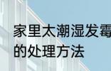 家里太潮湿发霉怎么办 房子潮湿发霉的处理方法