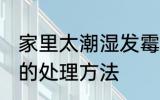 家里太潮湿发霉怎么办 房子潮湿发霉的处理方法