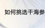 如何挑选干海参 挑选干海参的方法