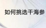 如何挑选干海参 挑选干海参的方法