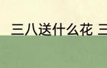 三八送什么花 三八妇女节送什么花
