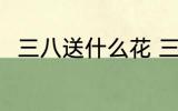 三八送什么花 三八妇女节送什么花